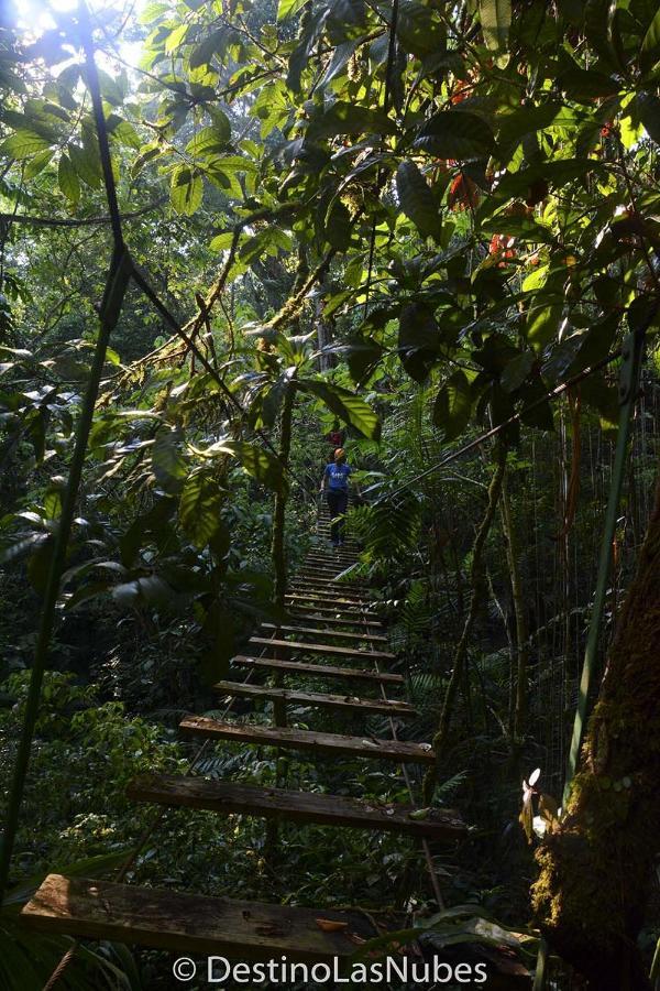 Ciudad De Las Rocas La Fortuna Gallo Giro المظهر الخارجي الصورة