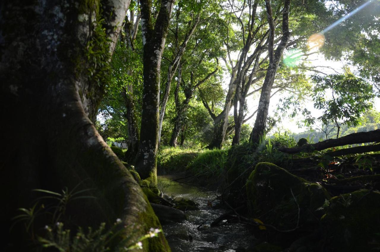 Ciudad De Las Rocas La Fortuna Gallo Giro المظهر الخارجي الصورة